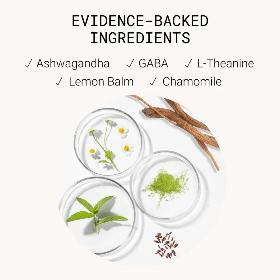Display of natural supplement ingredients with chamomile, lemon balm, powdered green herb, roots, and grains in dishes