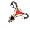 is_flex_for_you_icons