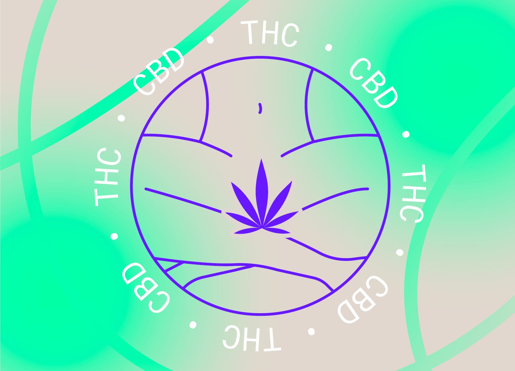 Cannabis? In your vagina? All about THC & CBD suppositories Cannabis? In your vagina? All about THC & CBD suppositories