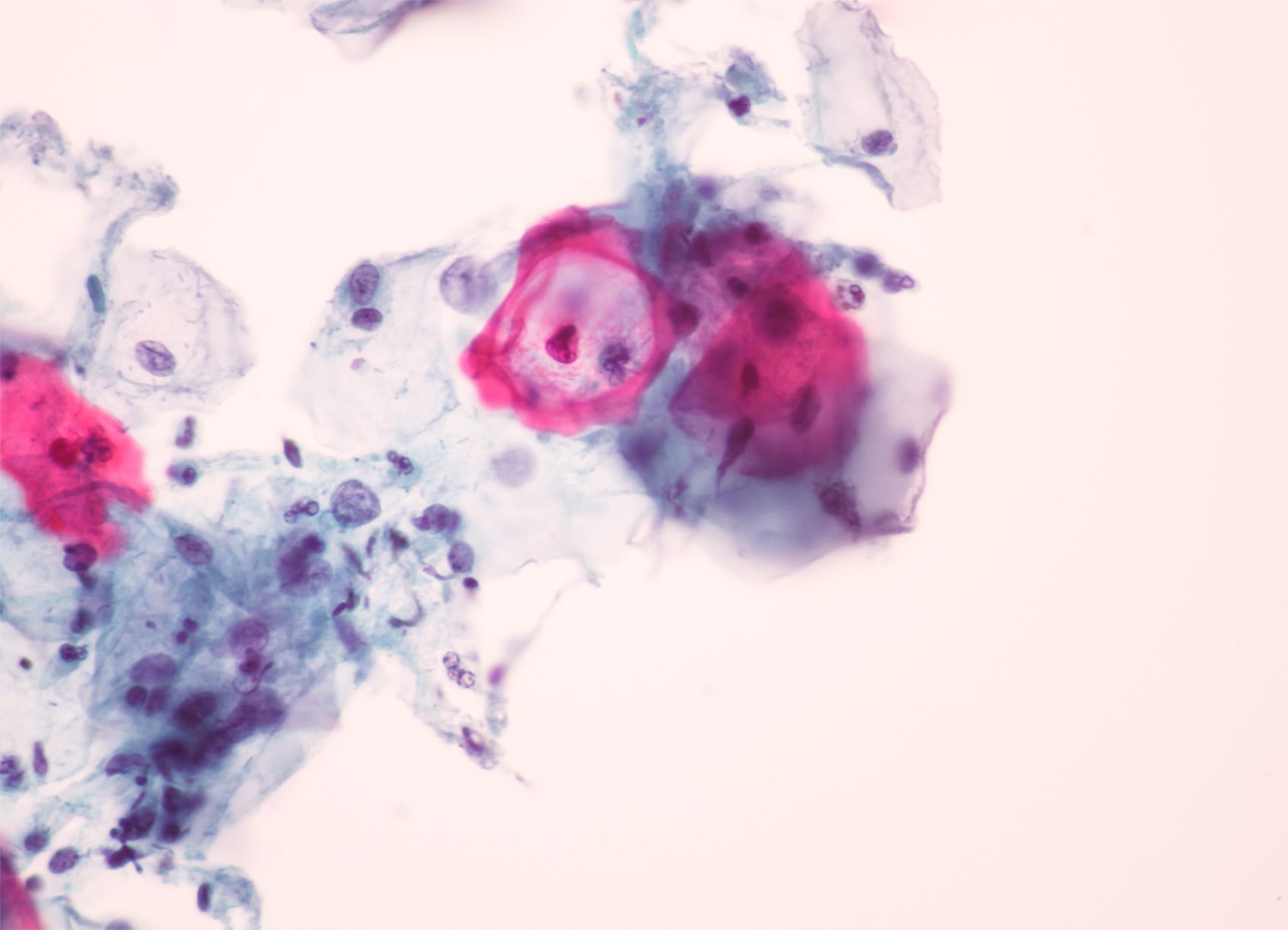 Period & health research updates: March 2021