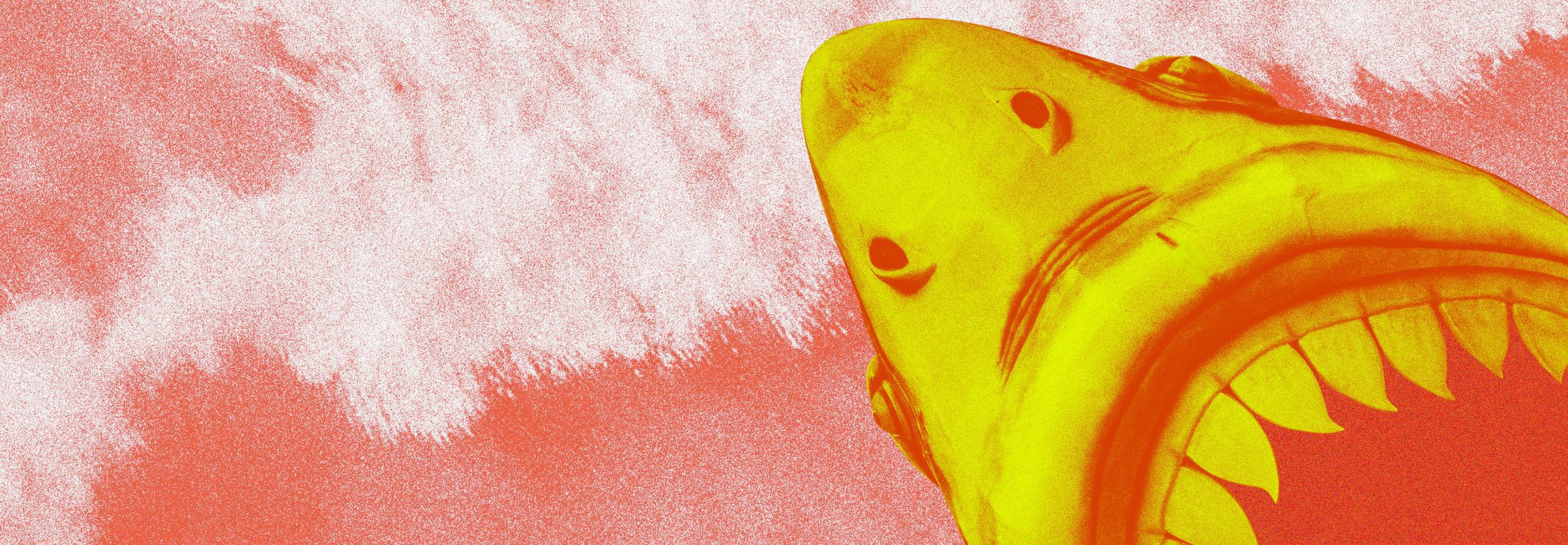 banner-image