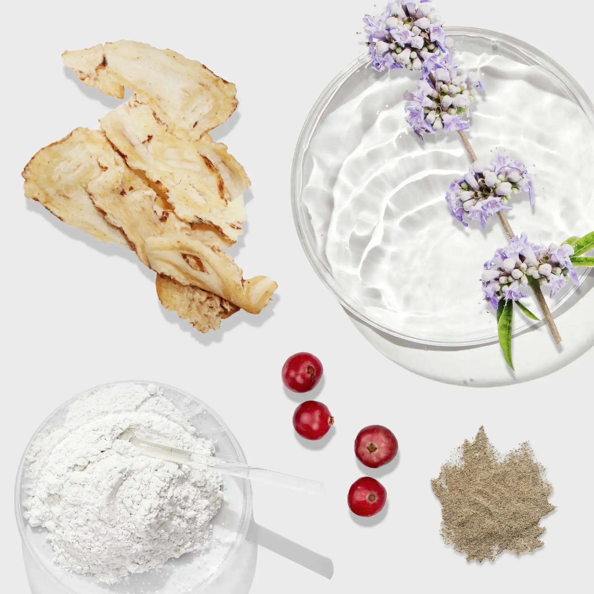 Assorted natural supplement ingredients including dried root, cranberries, powders, and flowering herb in water